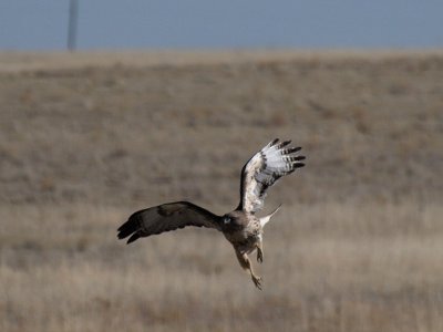 Final Approach