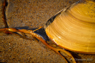 Old Orchard and Kennebunkport, - Maine USA