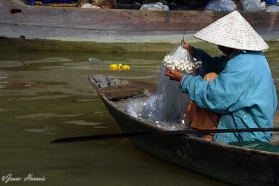 Vietnam 08