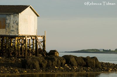 Nova Scotia Fishing Dock