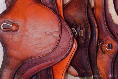 Hanging Saddles