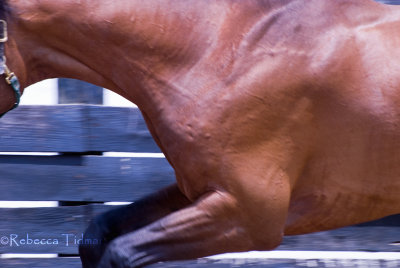 Racing