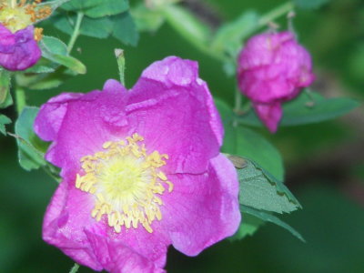 g1/19/924119/3/127209678.AYBiXOXJ.jpg