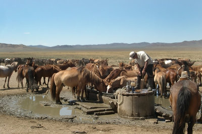 mongolia