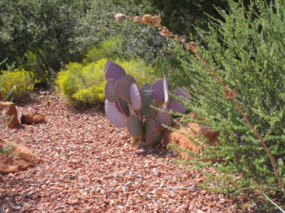 Boynton Canyon