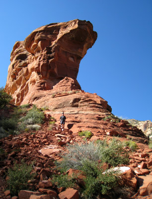 Fay Canyon, end of trail