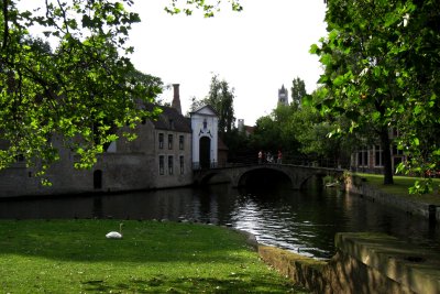 Bruges swan.JPG