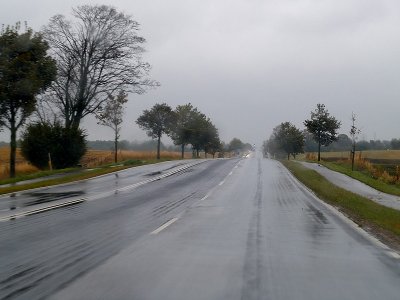 2009-10-04 Rain