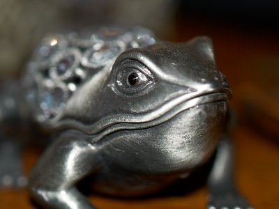 2011-01-11 Silver frog