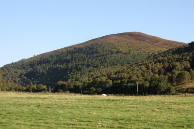 Hill of Candacraig