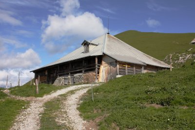 Luegle