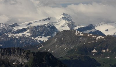 Wildhorn