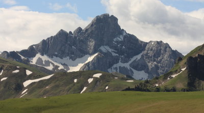 Spillgerte