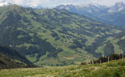 g1/20/12420/3/116240206.pRhC2BWR.jpg