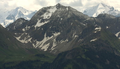 Mannlifluh