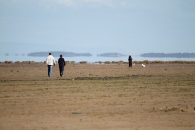 Hoylake beach