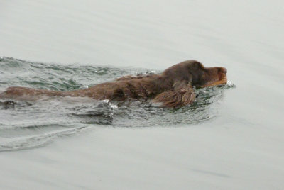 P1020334.JPG