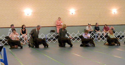 P1030168.JPG