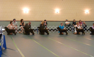 P1030189.JPG