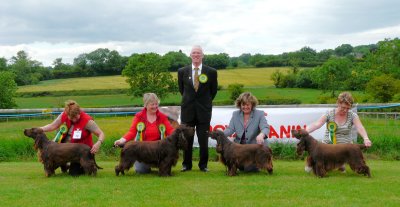 FSS Champ Show winners