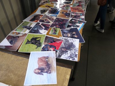 P1080055.JPG