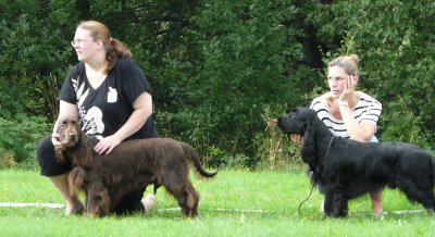 g1/20/197520/3/128489563.U7Au2HD9.jpg