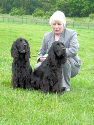 southern counties 012.JPG