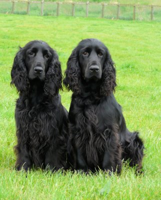 southern counties 020.JPG