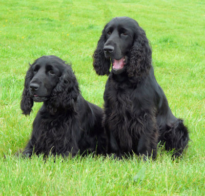 southern counties 023.JPG