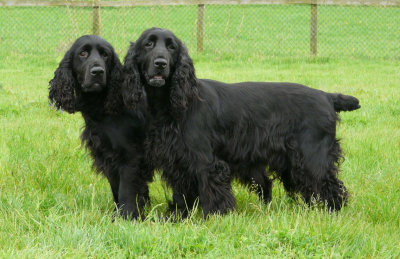 southern counties 027.JPG