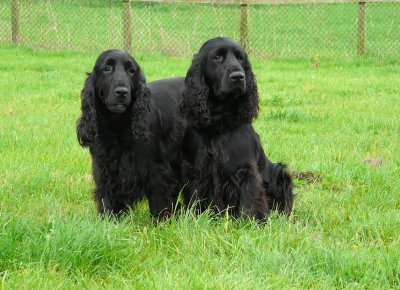 southern counties 029.JPG