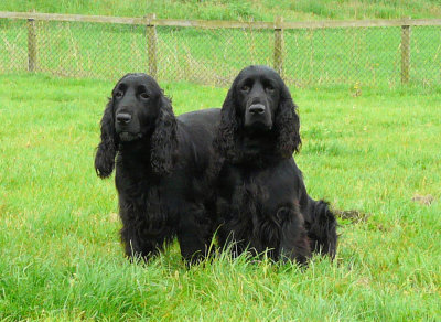 southern counties 030.JPG