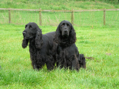 southern counties 031.JPG