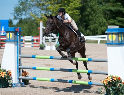 Horse Show By the Bay 2010