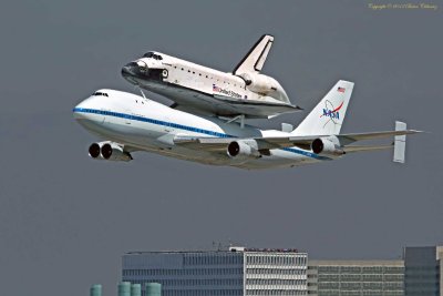 P_5244_CR_D.jpg