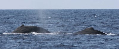 P_5101.jpg