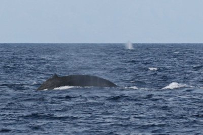 P_5119.jpg