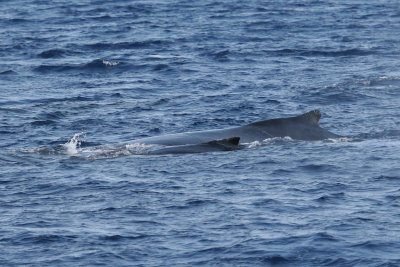 P_5157.jpg