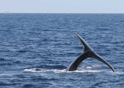 P_5191.jpg