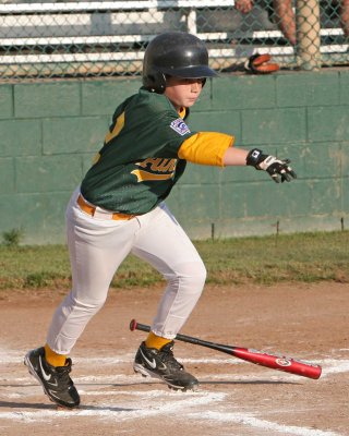 P_7337.jpg