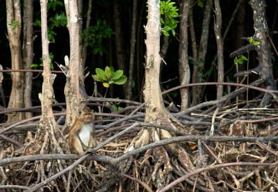 Thailand Koh Lanta-0048.jpg