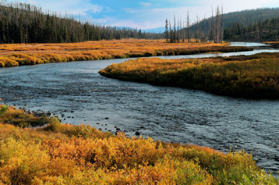 Yellowstone river in fall