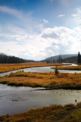 Yellowstone River in the Fall