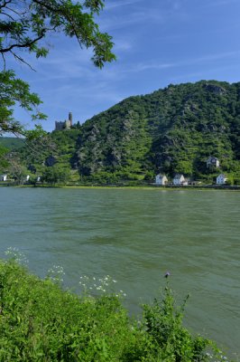 Rhine and Castle