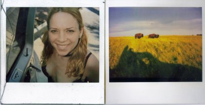 polaroids and buffalo near fargo
