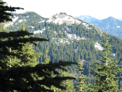 Mt Defiance Area Views
