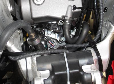 CRF250R Stock EFI Connection