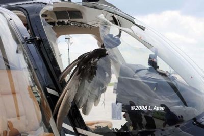 2008 - N407TT midair collision with a large bird photo #0186