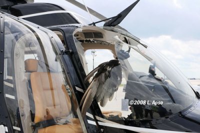 2008 - N407TT midair collision with a large bird photo #0187