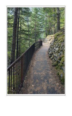 Pathway